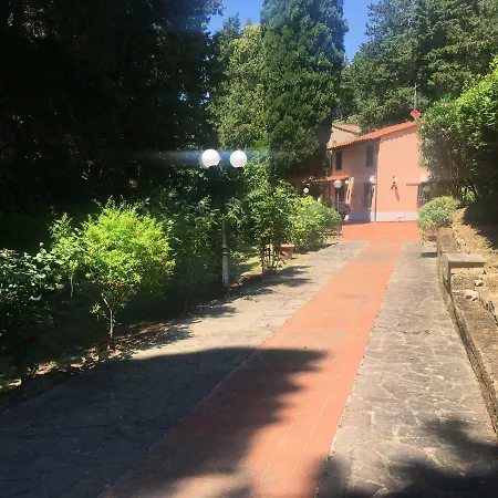 Di Xea * Collesalvetti